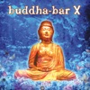 Buddha Bar X (Bonus Track Version), 2008