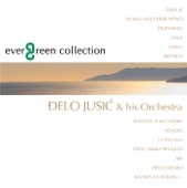Evergreen Collection - Instrumental Pop