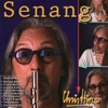 Senang