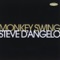 Pool Boy - Steve D'Angelo lyrics