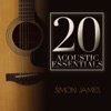 20 Accoustic Essentials, 2010