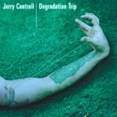 Jerry Cantrell - Psychotic Break