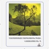 Contemporary Instrumental Music, Vol. 5