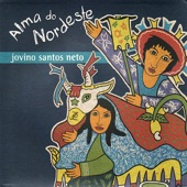 Jovino Santos Neto - Passareiro
