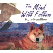 Marv Hamilton - Stop Makin' Veterans