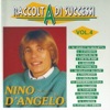 Raccolta di successi, vol. 4 (The Best of Nino D'Angelo Collection)