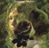 Delta Dawn - Tanya Tucker
