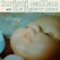 Morning Glory (with The Jigsaw Seen) - Kristi Callan lyrics