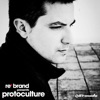 Re*Brand Presents Protoculture: the Story so Far