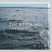 The Silver Seas - It's Only Gravity