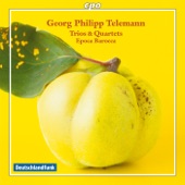Telemann: Trios & Quartets artwork