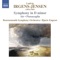 Symphony in D Minor (Original Version): II. Andante - Allegro moderato artwork