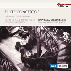 Double Concerto for Flute and Recorder In E Minor: II. Allegro Song Lyrics