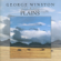 Rainsong (Fortune's Lullaby) - George Winston