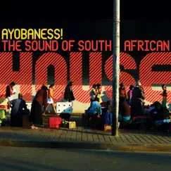 Ayobaness! (The Sound Of South African House) by Various Artists album reviews, ratings, credits