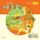 Mr. Ho's Orchestrotica - Autumn Digging Dance