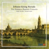 Parnassi Musici - Bassoon Concerto: I. Spiritoso