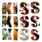 Kiss Kiss Kiss artwork