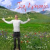 In armonia - Single