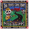 The Blues Came from Mississippi