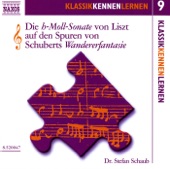 Die H-moll-Sonate von Liszt: Werkbetrachtung zur h-Moll-Sonate artwork