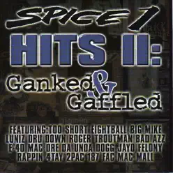 Hits II - Spice 1