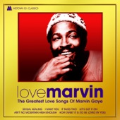 Marvin Gaye - Come Live With Me Angel