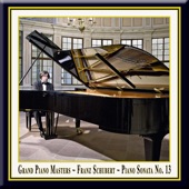 Piano Sonata No. 13 in A Major, D. 664: I. Allegro moderato artwork