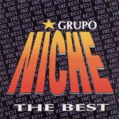 Grupo Niche - Bar y Copas