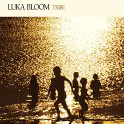 Tribe - Luka Bloom Tribe - Luka Bloom
