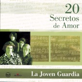 20 Secretos de Amor: La Joven Guardia artwork
