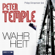 Peter Temple - Wahrheit: Broken Shore 2