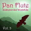 Instrumental Worldhits - Volume 3, 2011