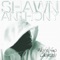 All the Marbles - Shawn Anthony lyrics