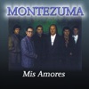 Mis Amores