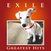 Kiss You All Over (Re-Recorded Version) - Exile