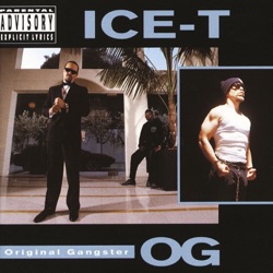 Ice-T - Pulse of the Rhyme