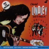 David Lindley - Rock It With I