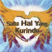 Satu Hal Yang Kurindu (Satu Hal Yang Kurindu) artwork