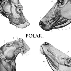 This Polar Noise - EP - Polar