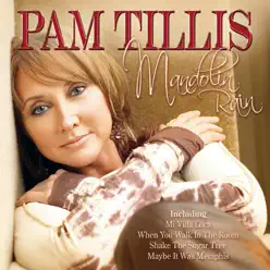 Mandolin Rain - Pam Tillis