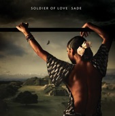 Soldier of Love, 2010