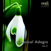 Cello Concerto No.1 in C major II. Adagio artwork