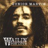 Wailin' for Love, 2007