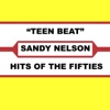 Sandy Nelson - Teen Beat