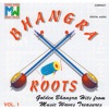 Bhangra Roots