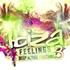 Ibiza Feelings, Vol. 3 - Deep House Rhythms