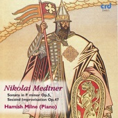 Medtner: Piano Music, Vol. 4 artwork