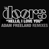 Hello, I Love You (Adam Freeland Fabric Mix) artwork