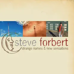 Strange Names & New Sensations - Steve Forbert